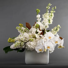 Load image into Gallery viewer, Casablanca Deluxe