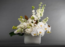 Load image into Gallery viewer, Casablanca Deluxe