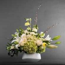 Load image into Gallery viewer, Casablanca Regal