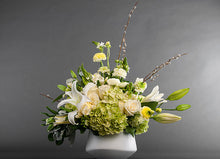 Load image into Gallery viewer, Casablanca Regal