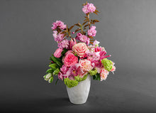 Load image into Gallery viewer, Pretty In Pink Regal