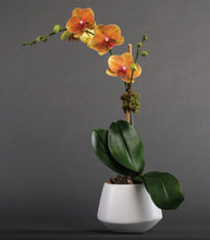 Load image into Gallery viewer, Single Orchid