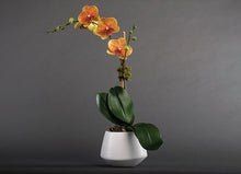 Load image into Gallery viewer, Single Orchid
