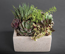 Load image into Gallery viewer, Tranquil Garden