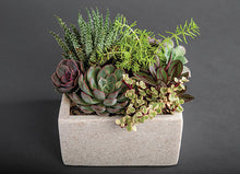 Load image into Gallery viewer, Tranquil Garden